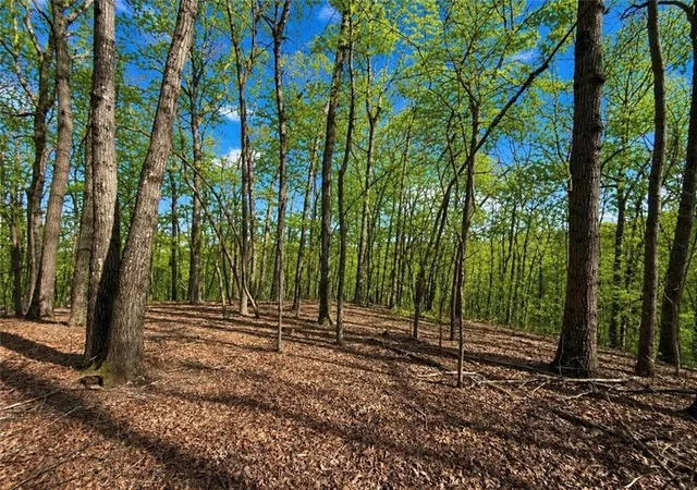1st image of 0 Burnt Mtn Cove Rd, Jasper, GA 30143 | MLS# 7749097