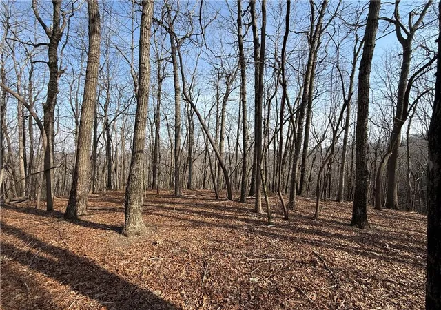 2nd image of 0 Burnt Mtn Cove Rd, Jasper, GA 30143 | MLS# 7749097