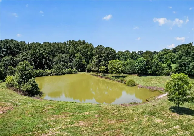 62nd image of 14155 Hwy 106, Carnesville, GA 30521 | MLS# 7810015
