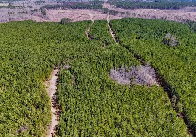 Homes for sale in Taylorsville, GA | Lot 3 John Kay Rd, Taylorsville, GA 30178 | MLS# 7736896