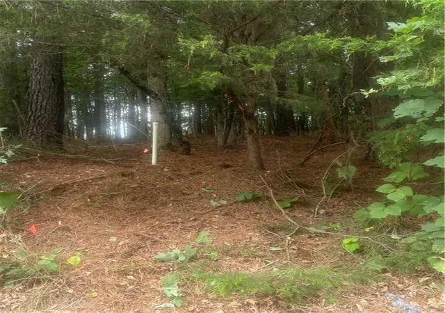 2nd image of 2054 Euharlee Rd Sw, Taylorsville, GA 30178 | MLS# 7809106