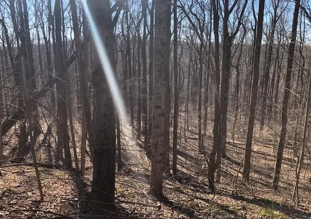 Photo 2 of Land for sale at 0 Highlands Pkwy, Jasper, GA 30143 | MLS# 7780971 | Listing updated on 2026-06-03