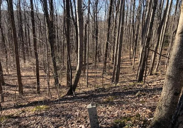 Photo 3 of Land for sale at 0 Highlands Pkwy, Jasper, GA 30143 | MLS# 7780971 | Listing updated on 2026-06-03