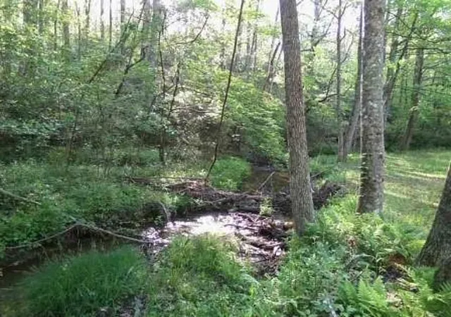 2nd image of 953 Nugget Ln, Ellijay, GA 30540 | MLS# 7821110