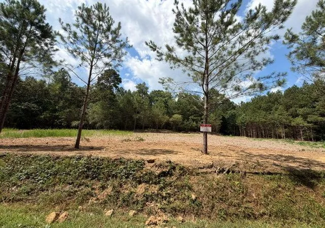 Homes for sale in Taylorsville, GA | 84 Popham Road Tract 1 & 2, Taylorsville, GA 30178 | MLS# 7803208