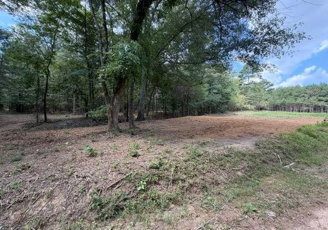 Homes for sale in Taylorsville, GA | 84 Popham Road Tract 1 & 2, Taylorsville, GA 30178 | MLS# 7803208