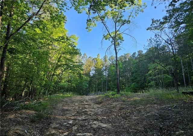 2nd image of 0 Ponderosa Trl, Dallas, GA 30132 | MLS# 7770097