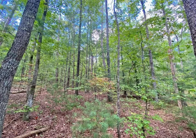 Photo 2 of Land for sale at 153Ac White Path Rd, Ellijay, GA 30540 | MLS# 7454313 | Listing updated on 2026-10-28