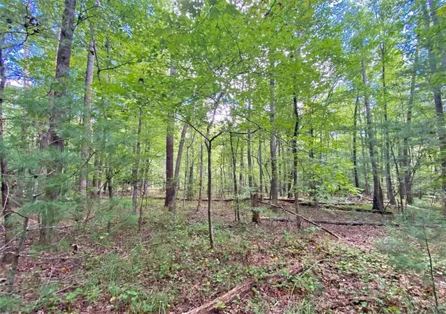 Photo 3 of Land for sale at 153Ac White Path Rd, Ellijay, GA 30540 | MLS# 7454313 | Listing updated on 2026-10-28