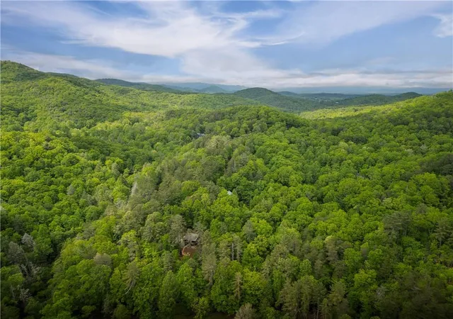 35th image of 203 Mountain View Dr, Cherry Log, GA 30522 | MLS# 7774115