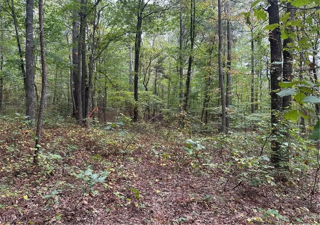 5th image of 3834 Salacoa-Tract B, Waleska, GA 30183 | MLS# 7797502