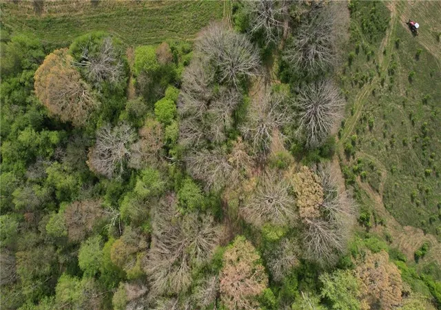 Photo 4 of Land for sale at 0000 Franklin Goldmine 763 Acres Rd, Cumming, GA 30028 | MLS# 7745760 | Listing updated on 2026-08-28