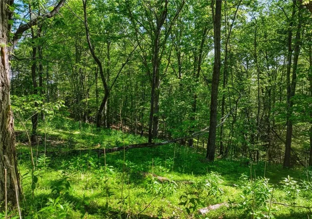 Photo 3 of Land for sale at Lot 6 Summit Dr, Dahlonega, GA 30533 | MLS# 7754101 | Listing updated on 2026-08-21