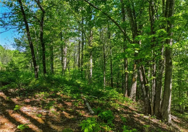 Photo 4 of Land for sale at Lot 6 Summit Dr, Dahlonega, GA 30533 | MLS# 7754101 | Listing updated on 2026-08-21