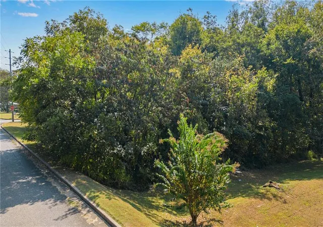 Photo 4 of Land for sale at 0 Reavis St, Ball Ground, GA 30107 | MLS# 7653540 | Listing updated on 2026-07-31
