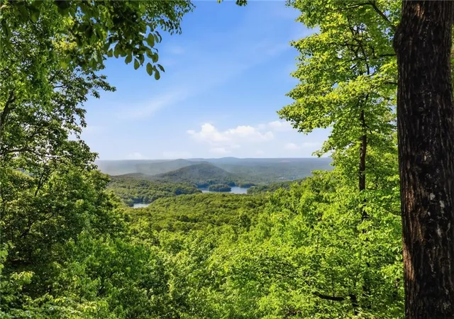 Homes for sale in Big Canoe, GA | 1115 Wild Turkey Blf, Big Canoe, GA 30143 | MLS# 7763039