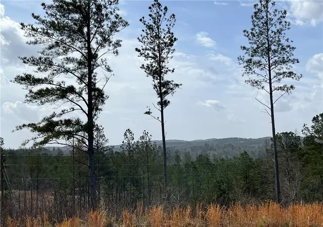 4th image of Lt 123 Blalock Mountain Rd, Talking Rock, GA 30175 | MLS# 7614471