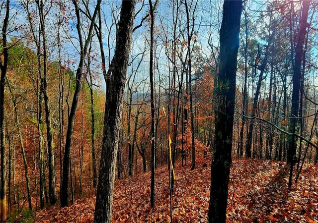 Photo 1 of Land for sale at 561 Parable Ct, Ranger, GA 30734 | MLS# 7689750 | Listing updated on 2026-02-06