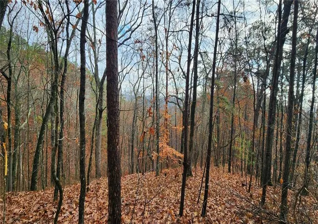 Photo 2 of Land for sale at 561 Parable Ct, Ranger, GA 30734 | MLS# 7689750 | Listing updated on 2026-02-06