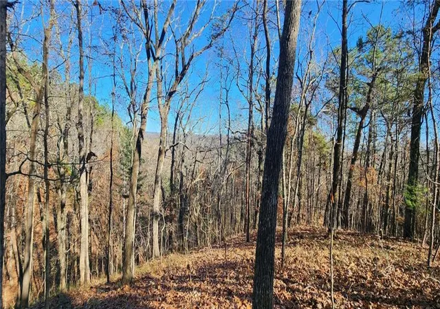 Photo 3 of Land for sale at 561 Parable Ct, Ranger, GA 30734 | MLS# 7689750 | Listing updated on 2026-02-06