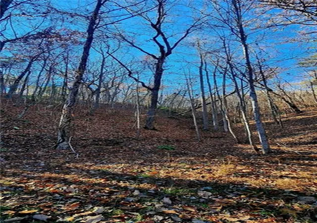 Photo 3 of Land for sale at 561 Parable Ct, Ranger, GA 30734 | MLS# 7689750 | Listing updated on 2026-02-06