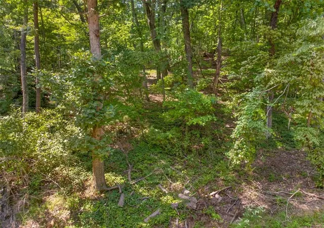4th image of 0 Waters Edge Dr, Clarkesville, GA 30523 | MLS# 7822351