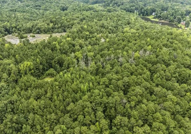 Photo 4 of Land for sale at 6733 Highway 155 N, Stockbridge, GA 30281 | MLS# 7818699 | Listing updated on 2026-08-11