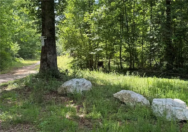 1st image of 20 Ac Ellijay Rd, Talking Rock, GA 30175 | MLS# 7753557