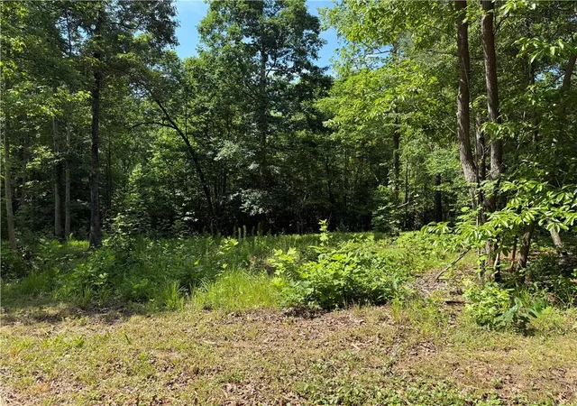 2nd image of 20 Ac Ellijay Rd, Talking Rock, GA 30175 | MLS# 7753557