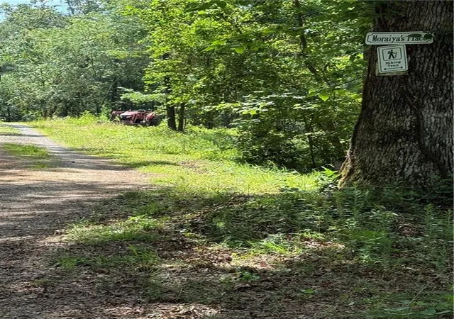 4th image of 20 Ac Ellijay Rd, Talking Rock, GA 30175 | MLS# 7753557
