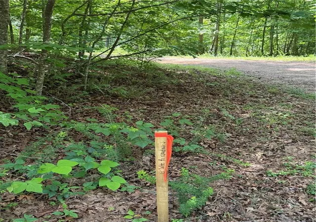 5th image of 20 Ac Ellijay Rd, Talking Rock, GA 30175 | MLS# 7753557