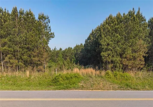 5th image of 0 Mt Zion Church Rd, Tallapoosa, GA 30176 | MLS# 7829613