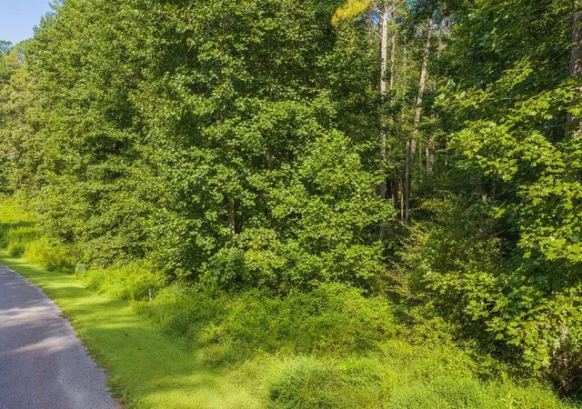 Photo 12 of Land for sale at 186 Pinnacle Dr, Ellijay, GA 30540 | MLS# 7830155 | Listing updated on 2026-09-01