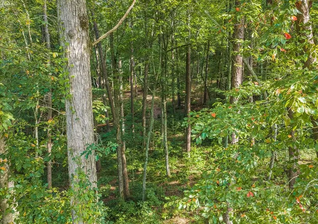 Photo 2 of Land for sale at 186 Pinnacle Dr, Ellijay, GA 30540 | MLS# 7830155 | Listing updated on 2026-09-01