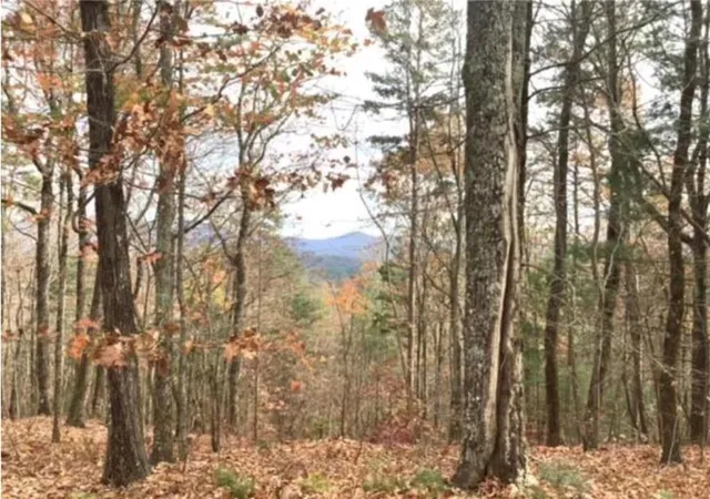 2nd image of Lot 17 Abbott Mill, Ellijay, GA 30540 | MLS# 7795070