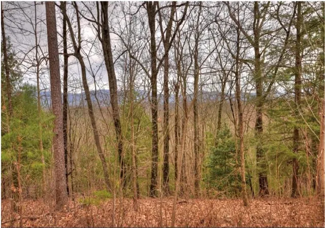 Photo 2 of Sale Pending at Lot 17 Abbott Ml, Ellijay, GA 30540 | MLS# 7795070 | Listing updated on 2026-08-22