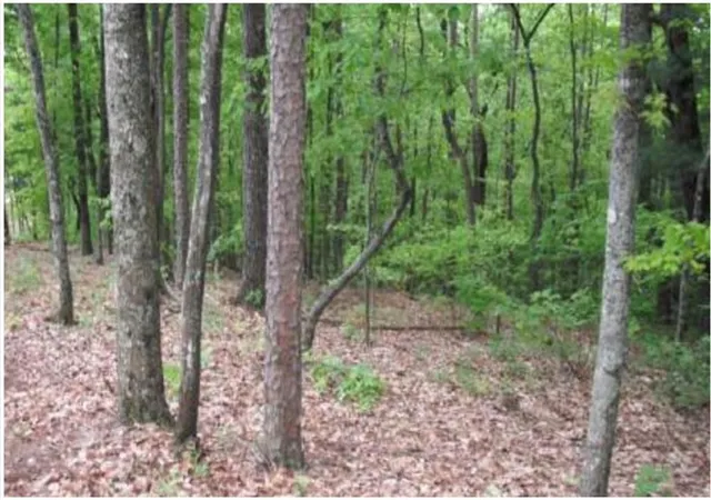 Photo 3 of Sale Pending at Lot 17 Abbott Ml, Ellijay, GA 30540 | MLS# 7795070 | Listing updated on 2026-08-22