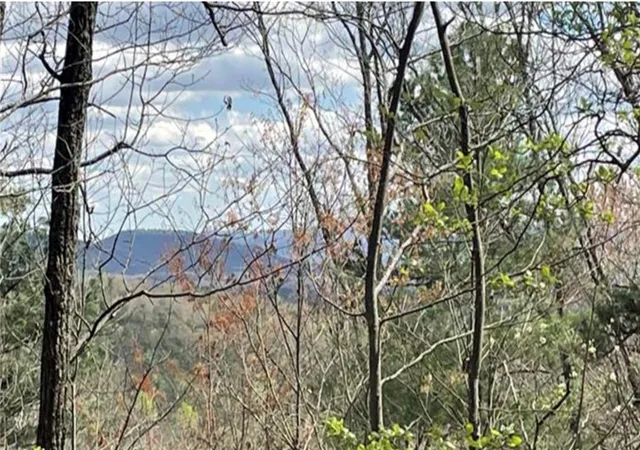 Photo 4 of Sale Pending at Lot 17 Abbott Ml, Ellijay, GA 30540 | MLS# 7795070 | Listing updated on 2026-08-22