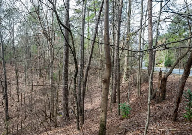 15th image of 00 Red Top Mountain Rd, Cartersville, GA 30121 | MLS# 7806509