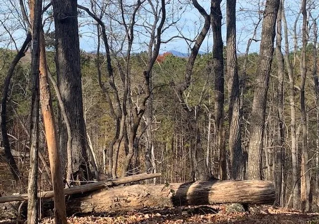 Photo 2 of Sale Pending at 0 Auraria Ridge, Dawsonville, GA 30534 | MLS# 7803571 | Listing updated on 2026-10-20