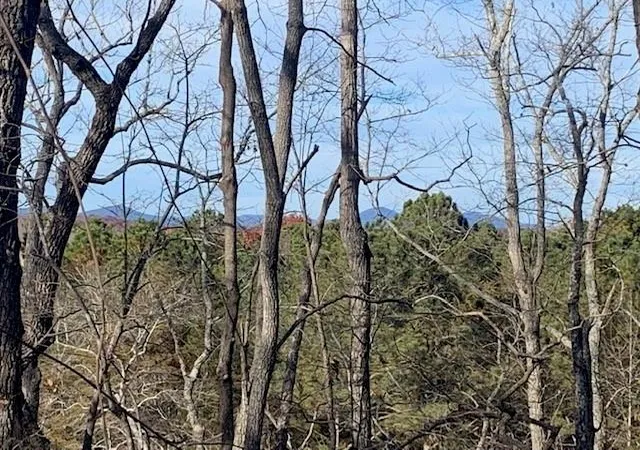Photo 4 of Sale Pending at 0 Auraria Ridge, Dawsonville, GA 30534 | MLS# 7803571 | Listing updated on 2026-10-20