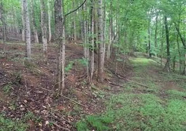 2nd image of 63 65 Deerwood Cir, Dahlonega, GA 30533 | MLS# 7716193