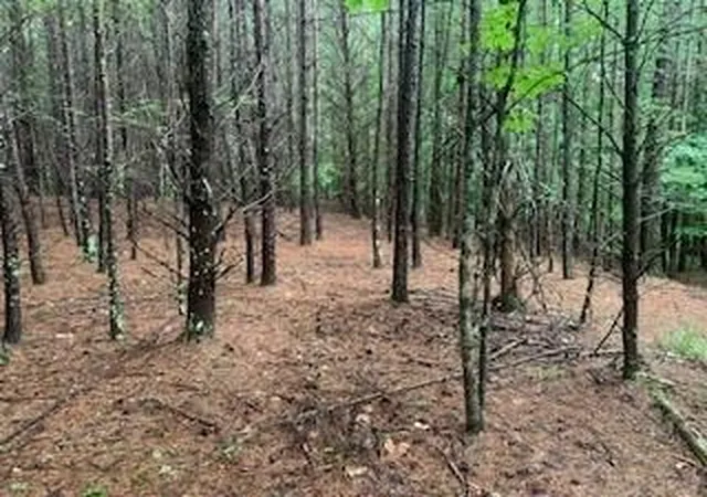 5th image of 63-65 Deerwood Cir, Dahlonega, GA 30533 | MLS# 7716193