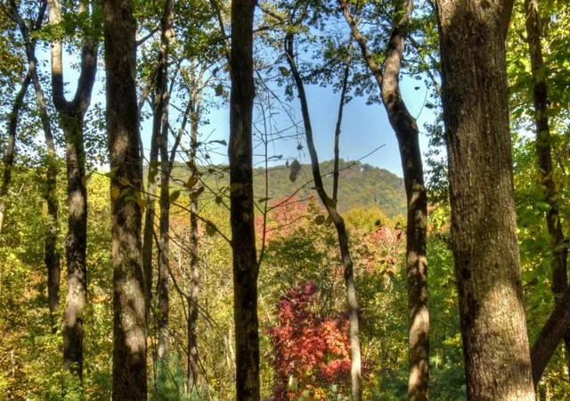 33rd image of 9 Joanna Ct, Blue Ridge, GA 30513 | MLS# 7781528