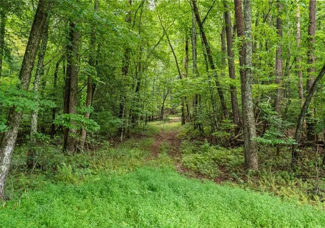 12th image of 32 Raven Ridge, Mineral Bluff, GA 30559 | MLS# 7822550