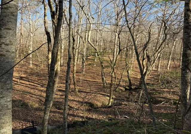 Photo 1 of Land for sale at 0 Gold View Dr, Dahlonega, GA 30533 | MLS# 7733915 | Listing updated on 2026-09-28