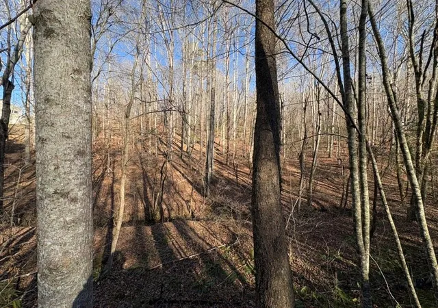 Photo 2 of Land for sale at 0 Gold View Dr, Dahlonega, GA 30533 | MLS# 7733915 | Listing updated on 2026-09-28