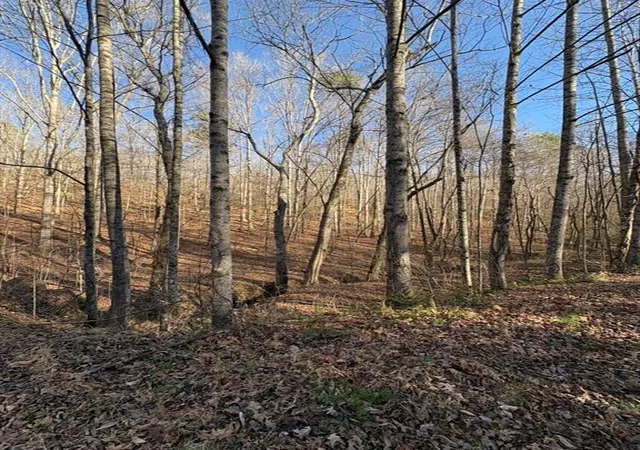 Photo 3 of Land for sale at 0 Gold View Dr, Dahlonega, GA 30533 | MLS# 7733915 | Listing updated on 2026-09-28