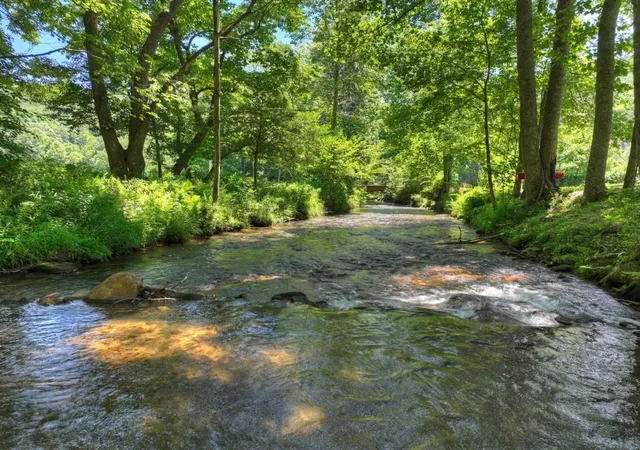 Homes for sale in Cherry Log, GA | 2628 Big Creek Rd, Cherry Log, GA 30522 | MLS# 7793770