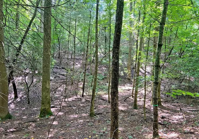14th image of 11ac T S Jarrard Rd, Dahlonega, GA 30533 | MLS# 7823533